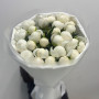 25 белых пионов